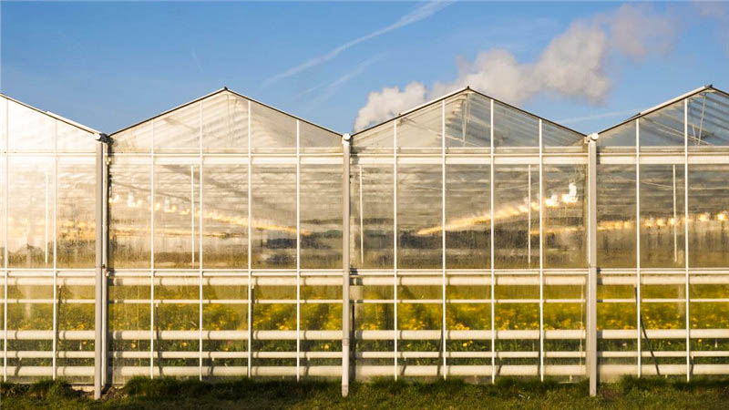 5f6d8a6decd73.jpg part-00638-22.jpg