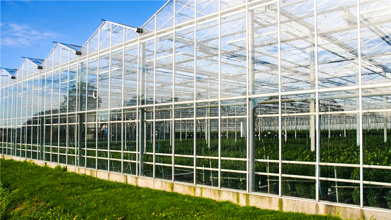 5f6d9d753d361.jpg part-00145-3033.jpg