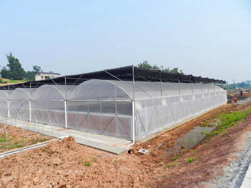 玻璃连栋温室.jpg 玻璃连栋温室.jpg