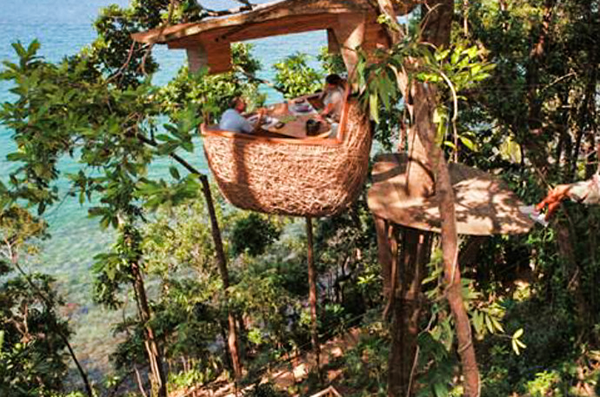 生态餐厅.png 生态餐厅.png