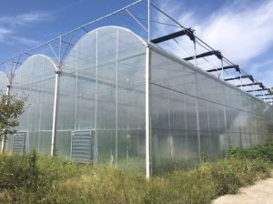 建造温室大棚应注意的问题